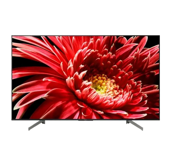 Sony KD-55XG8596