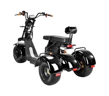 CityCoco TRIKE PRO 