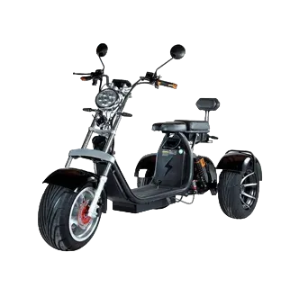 CityCoco TRIKE PRO 12